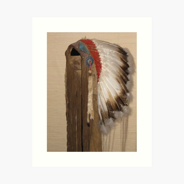 Indian Headdress Art Print