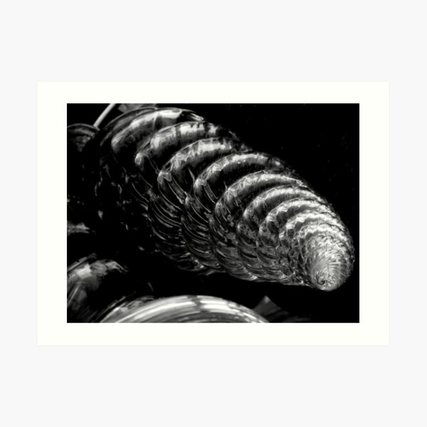Out of the Shadows Art Print