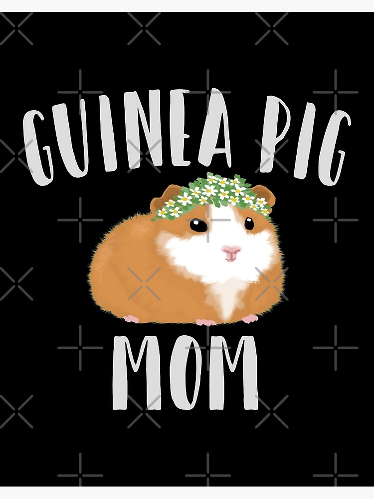 guinea pig mom