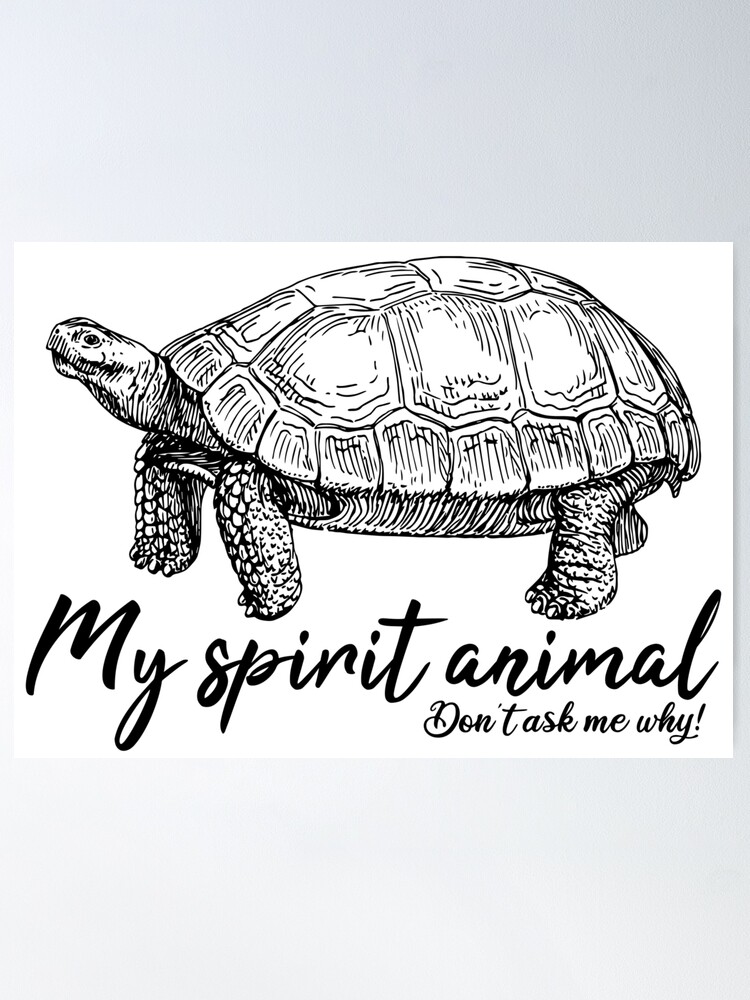 Tortoise is my spirit animal Tortoise is my spirit animal