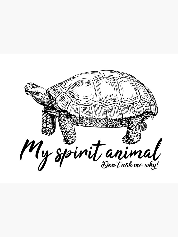 Tortoise is my spirit animal Tortoise is my spirit animal