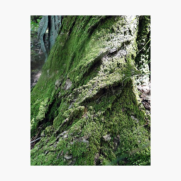 Item preview, Mossy designed and sold by sermelis.