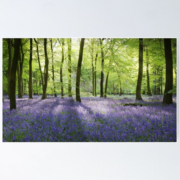 Item preview, Evening Woodlands designed and sold by Ceri Jones.