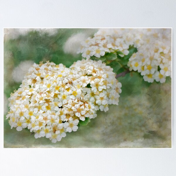 Item preview, hedgerow blossoms designed and sold by Teresa Pople.