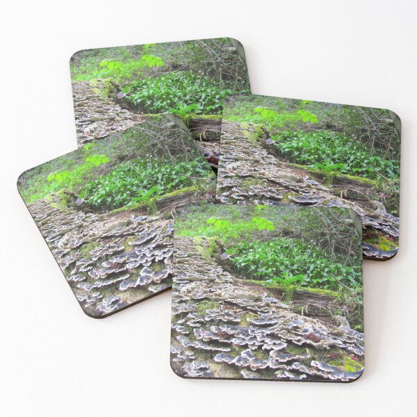 Item preview, Falling Tree designed and sold by Andrew Morrell.