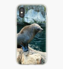 Fur seal iPhone-Hülle & Cover