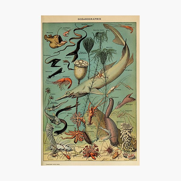 Item preview, Vintage Oceanography Poster designed and sold by lmmanning.