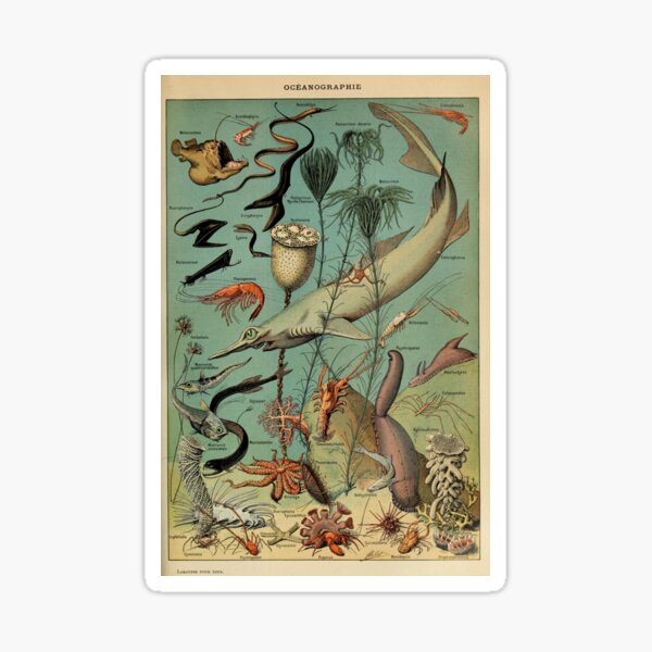Item preview, Vintage Oceanography Poster designed and sold by lmmanning.
