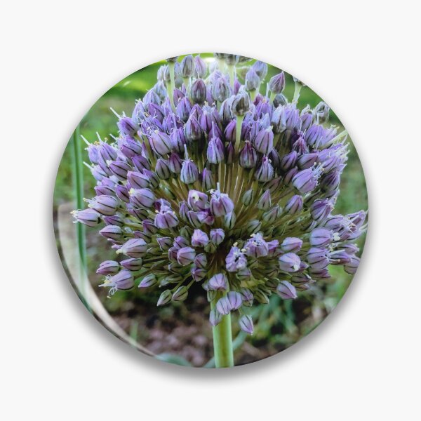 Item preview, Savory Blossom designed and sold by lezell.