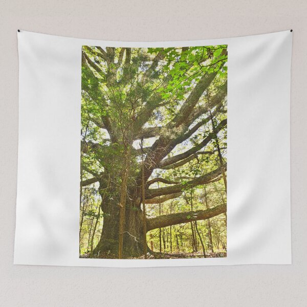 Item preview, Strong And Mighty Vertical designed and sold by LisaWootenPhoto.