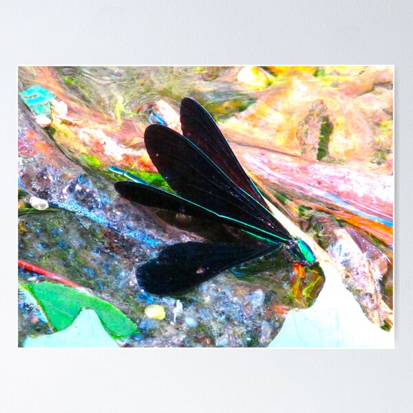 Item preview, Glaring beauty designed and sold by MarianBendeth.