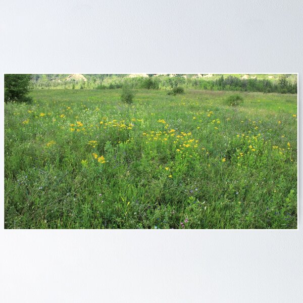Item preview, Summer meadow in Alberta designed and sold by Jim Sauchyn.