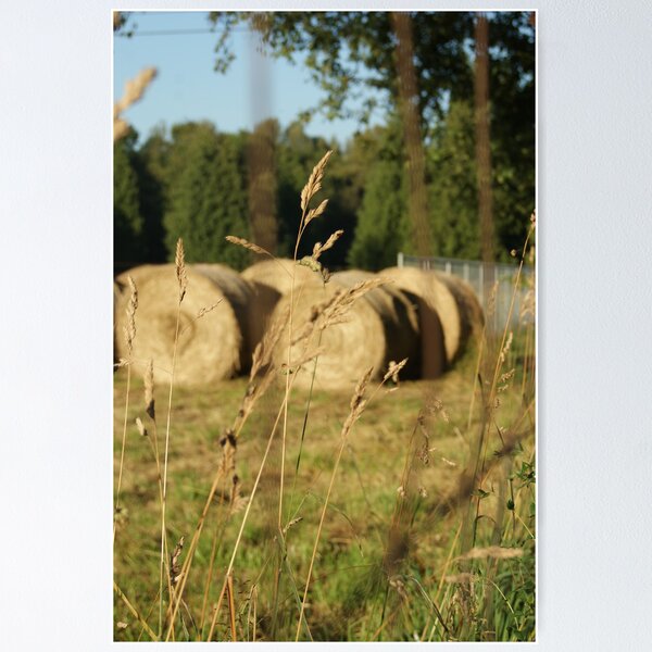 Item preview, Round Bale designed and sold by gloriajean.