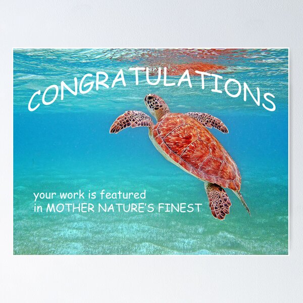 Item preview, Congratulations designed and sold by globeboater.