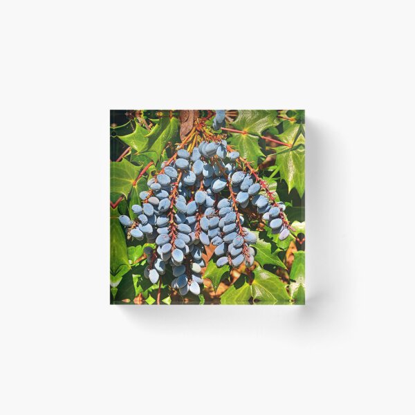 Item preview, Oregon Grape designed and sold by LisaWootenPhoto.
