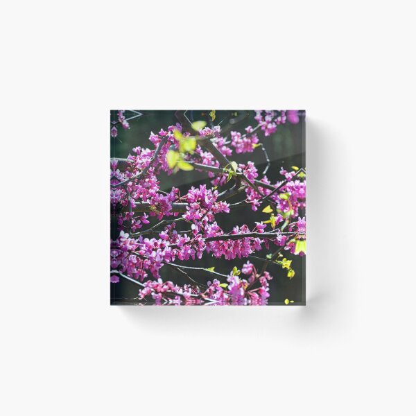 Item preview, Cherry Tree Blossoms designed and sold by LisaWootenPhoto.