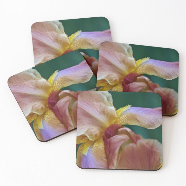 Item preview, Two Multicolored Iris's Together No. 5491 designed and sold by Sherry Hallemeier.