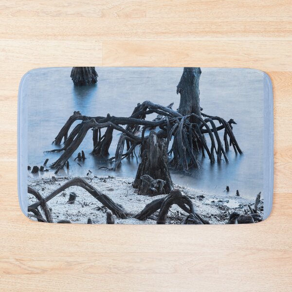 Item preview, New Orleans's Ghostly Cypress Knees in Lake Ponchartrain designed and sold by Kay Brewer.