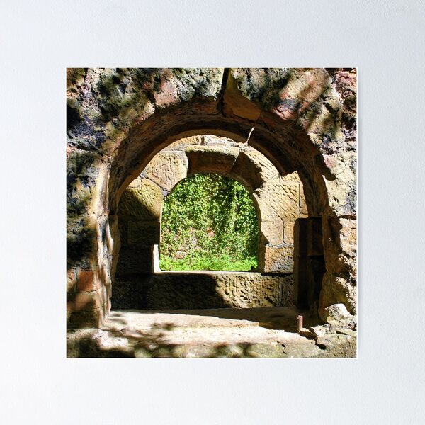 Item preview, Through The Brick Windows, I See Trees designed and sold by dredfell.