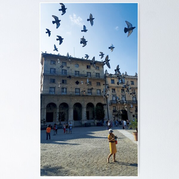 Item preview, Pigeons in Havana designed and sold by estrellastore.
