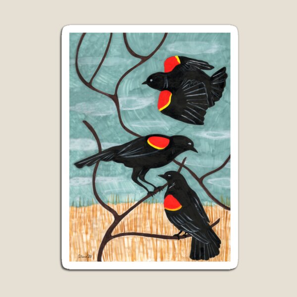 Item preview, Red Winged Blackbirds by Amanda Laurel Atkins designed and sold by Amanda Laurel Atkins.