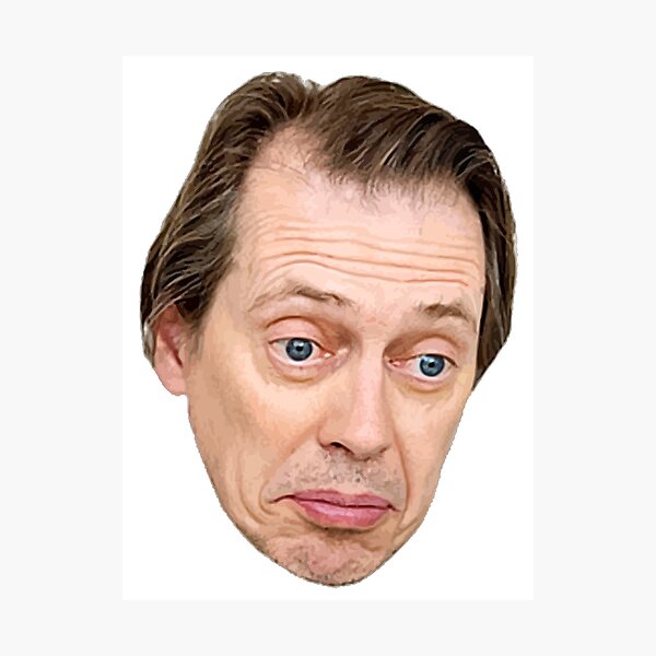 Impressions photo sur le th me Steve Buscemi Redbubble