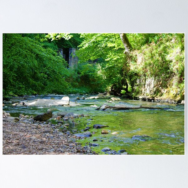 Item preview, River River Through The Trees designed and sold by dredfell.