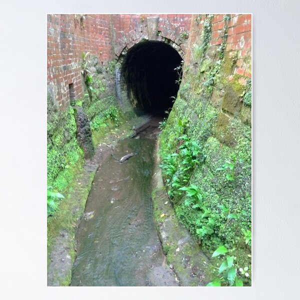 Item preview, Water Tunnel In Woods designed and sold by Andrew Morrell.