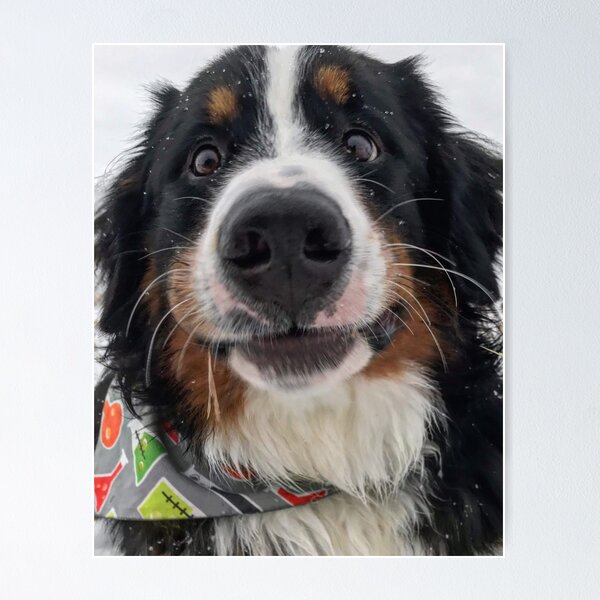 Item preview, Dog Selfies  designed and sold by Sunflowerwild.