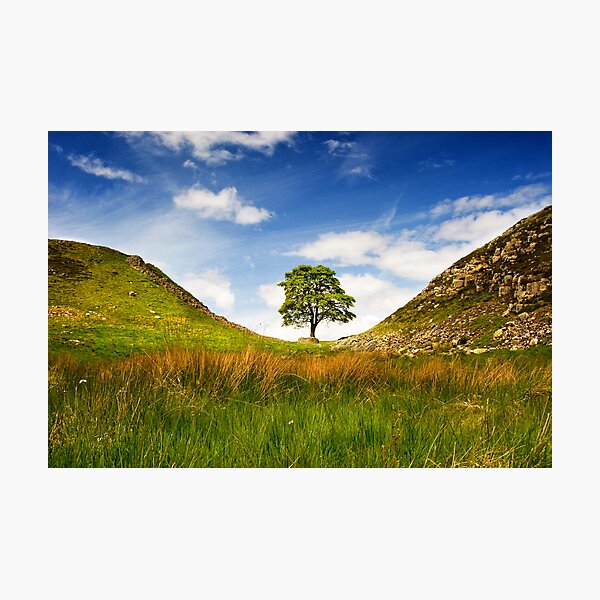 Sycamore Gap on Hadrian's Wall Photographic Print