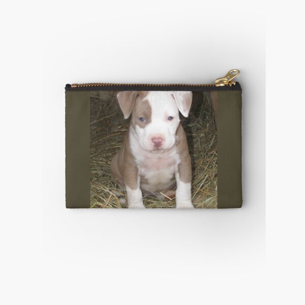 Item preview, You Said What? designed and sold by Ginny York.