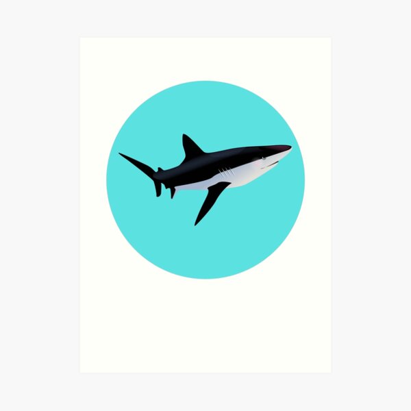 gooba shark logo