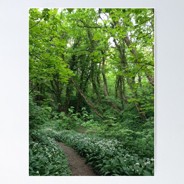 Item preview, Path In The Woods designed and sold by Andrew Morrell.