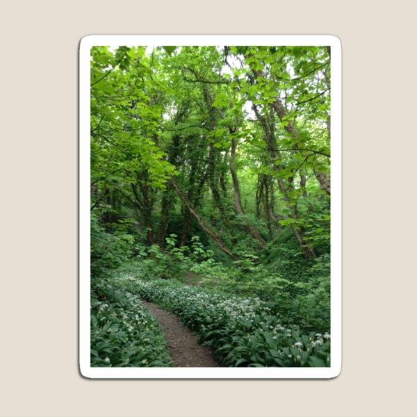 Item preview, Path In The Woods designed and sold by Andrew Morrell.