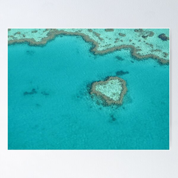 Item preview, Heart Coral Reef designed and sold by Katrina Kotlarski.