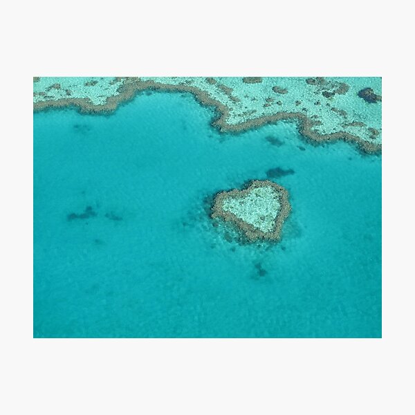 Item preview, Heart Coral Reef designed and sold by Katrina Kotlarski.