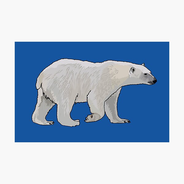 Item preview, Polar Bear designed and sold by gracebru.