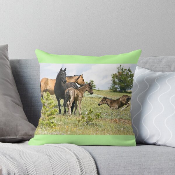 Item preview,  Montana. (ESTADOS UNIDOS)

***

* 5 designed and sold by Ken McElroy.