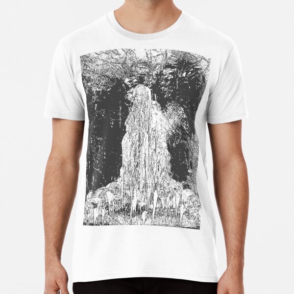 Virgen De Guadalupe Premium T-Shirt