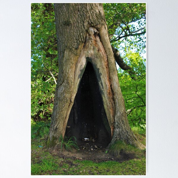 Item preview, Un árbol, una guarida, una cueva secreta designed and sold by dredfell.