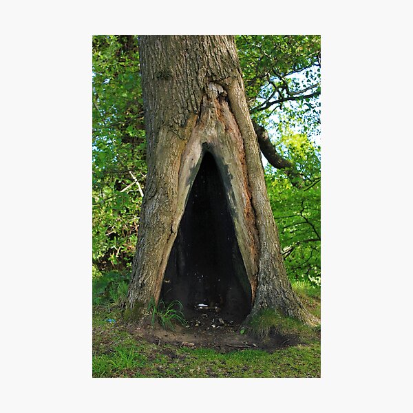 Item preview, A Tree, A Den, A Secret Cave designed and sold by dredfell.
