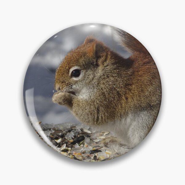 Item preview, Cute tiny red squirrel with some nutty nibbles designed and sold by cuisinecat2.