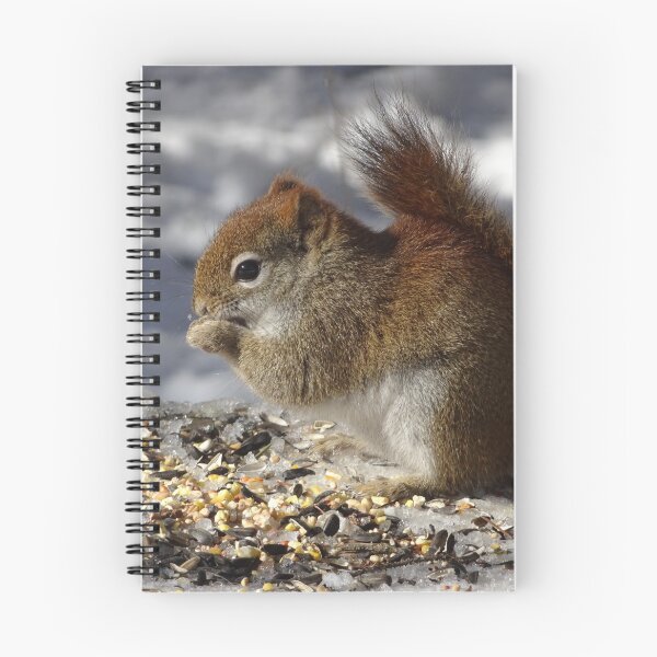 Item preview, Cute tiny red squirrel with some nutty nibbles designed and sold by cuisinecat2.