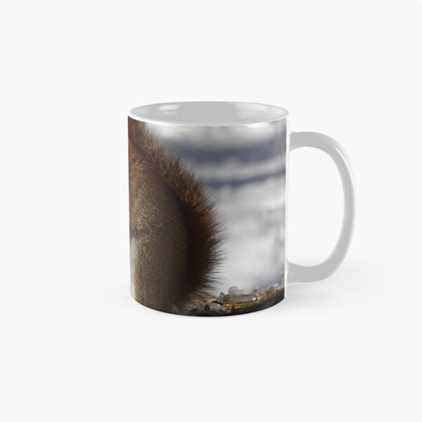 Item preview, Cute tiny red squirrel with some nutty nibbles designed and sold by cuisinecat2.