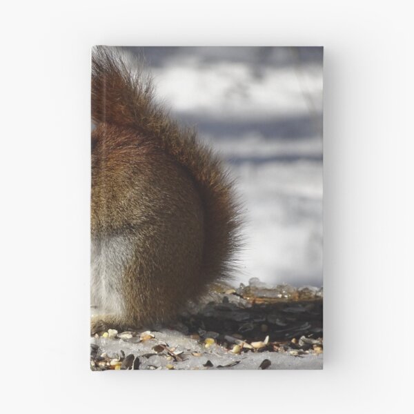 Item preview, Cute tiny red squirrel with some nutty nibbles designed and sold by cuisinecat2.