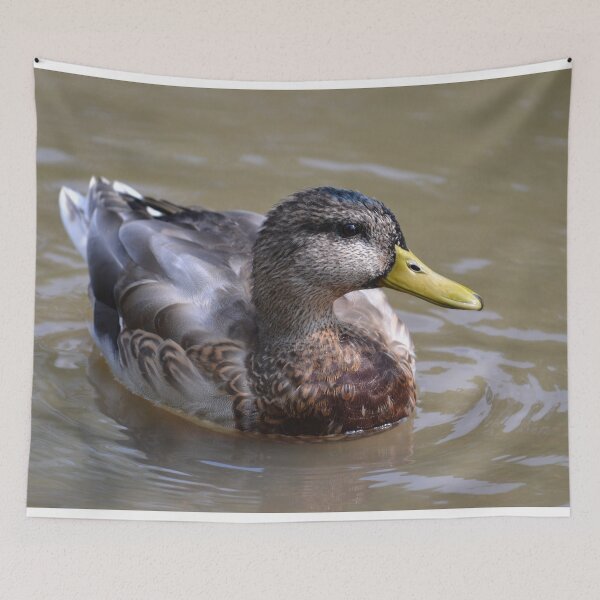 Item preview, Duck in the Water designed and sold by ReneeKennedy.