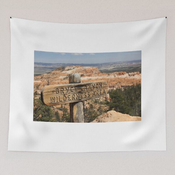 Item preview, Desierto de Bryce Canyon designed and sold by Zach Auerbach.