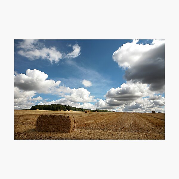 Item preview, An english harvest designed and sold by Mark Bunning.