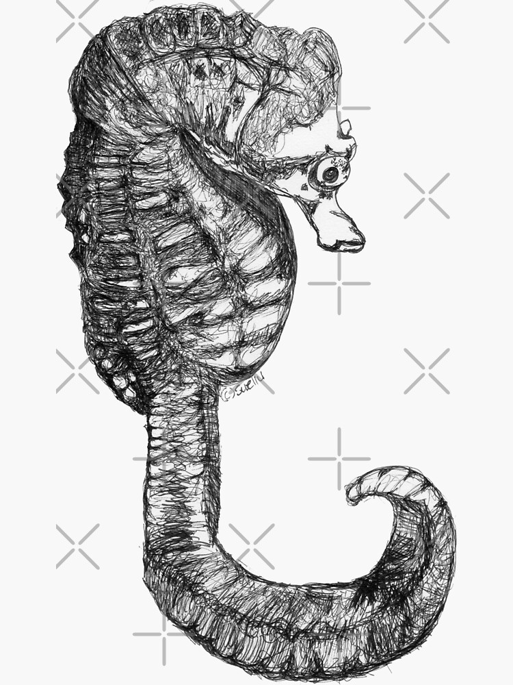 Martin the Seahorse by Wildcard-Sue