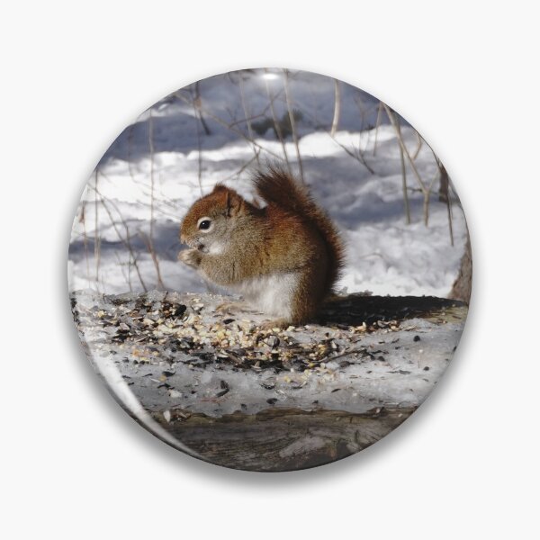 Item preview, Tiny red squirrel eating seeds on a snowy woodland trail  designed and sold by cuisinecat2.